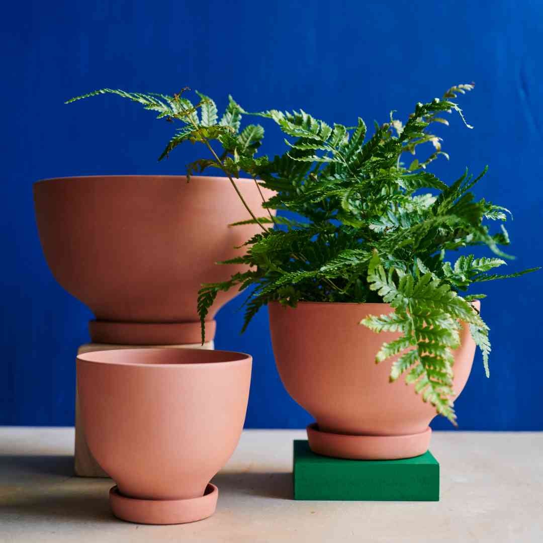 Michiko Shimada Planters at Greenpoint Plant Shop | Tend Greenpoint